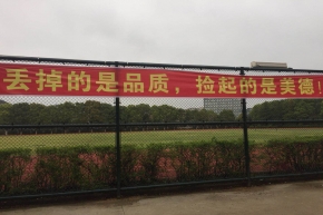 学校开展齐心协力共创文明卫生校园活动